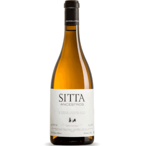 Sitta Ancestros 2012